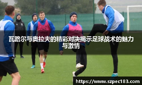 摩根体育